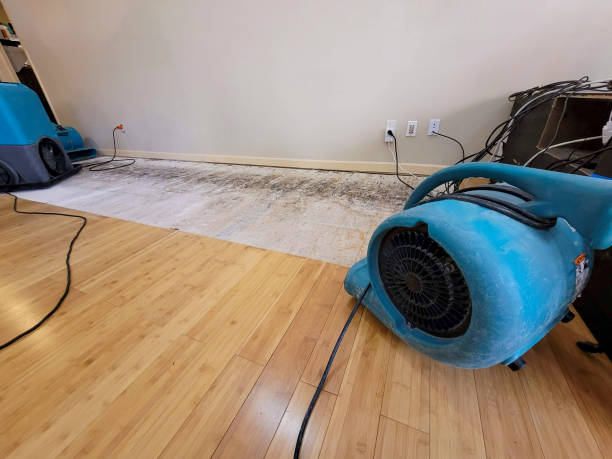 Professional Water Damage Repair technician working in Oregon, OR